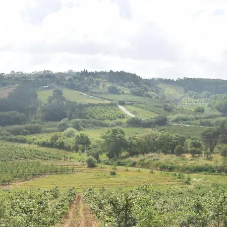 Luxurious In Caldas Da Rainha With Swimming Pool Villa Salir de Matos