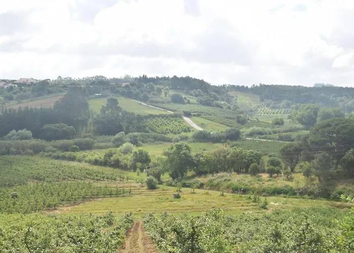 Luxurious In Caldas Da Rainha With Swimming Pool Villa Salir de Matos